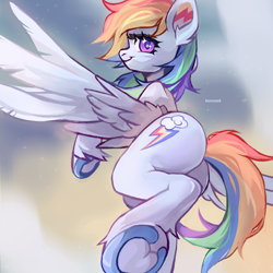 Size: 3000x3000 | Tagged: safe, artist:kencee6, rainbow dash, pegasus, pony, g4, butt, female, flying, frog (hoof), high res, mare, plot, solo, underhoof