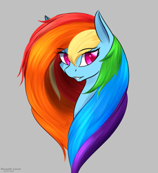 Size: 2044x2230 | Tagged: safe, artist:renarde-louve, rainbow dash, pony, g4, bust, female, gray background, high res, long mane, mare, simple background, solo