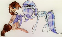Size: 3047x1793 | Tagged: safe, artist:beamybutt, oc, oc only, pegasus, pony, duo, eyelashes, female, mare, pegasus oc, signature, traditional art, wings