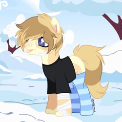 Size: 1080x1080 | Tagged: safe, alternate version, artist:fluffponee, oc, oc only, earth pony, pony, :p, bandaid, clothes, earth pony oc, male, outdoors, signature, snow, socks, stallion, striped socks, tongue out, tree
