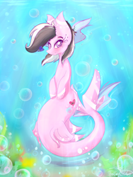 Size: 1500x2000 | Tagged: safe, artist:tractaresolidum, oc, oc only, oc:ashee, merpony, original species, shark, shark pony, bubble, commission, crepuscular rays, dorsal fin, eyelashes, female, fish tail, flowing mane, flowing tail, looking at you, purple eyes, seaweed, signature, smiling, solo, sunlight, tail, underwater, ych result