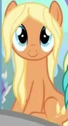 Size: 164x303 | Tagged: safe, screencap, amber grain, sandbar, earth pony, pony, a rockhoof and a hard place, g4, season 8, friendship student, not applejack