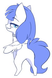 Size: 743x1100 | Tagged: safe, alternate character, alternate version, artist:arctic-fox, oc, oc only, oc:snow pup, pegasus, pony, chibi, collar, simple background, solo, transparent background