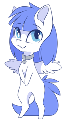 Size: 650x1208 | Tagged: safe, alternate character, alternate version, artist:arctic-fox, oc, oc only, oc:snow pup, pegasus, pony, chibi, collar, simple background, solo, transparent background