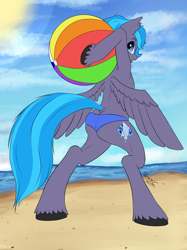 Size: 2758x3683 | Tagged: safe, artist:reminic, oc, oc only, oc:icesapphire, pegasus, pony, beach, beach ball, bipedal, blue eyes, butt, clothes, commission, high res, looking back, male, ocean, pegasus oc, plot, solo, stallion, swimsuit, two toned mane, unshorn fetlocks, wings, wings down