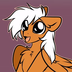Size: 2136x2160 | Tagged: safe, artist:mariashek, oc, oc only, oc:breezy brown, pegasus, pony, brown fur, chest fluff, fluffy, happy, high res, male, no shading, open mouth, pegasus oc, simple, simple background, solo, stallion, white hair