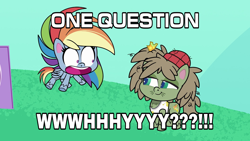 Size: 1920x1080 | Tagged: safe, edit, edited screencap, screencap, dishwater slog, rainbow dash, earth pony, pegasus, pony, between dark and dawn, g4, g4.5, my little pony: pony life, the best of the worst, caption, duo, female, male, meme, open mouth, shocked, stallion, text