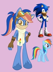 Size: 1509x2048 | Tagged: safe, rainbow dash, oc, oc:prismatic fast the hedgehorse, g4, clothes, crossover, crossover ship offspring, crossover shipping, female, goggles, hand on hip, interspecies offspring, male, offspring, parent:rainbow dash, parent:sonic the hedgehog, parents:sonicdash, pink background, scarf, shipping, simple background, sonic the hedgehog, sonic the hedgehog (series), sonicdash, straight