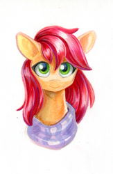 Size: 592x907 | Tagged: safe, artist:maytee, roseluck, earth pony, pony, g4, bust, marker drawing, portrait, solo, traditional art