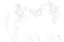 Size: 1280x844 | Tagged: safe, artist:aho1337, fluttershy, pegasus, pony, g4, flying, grayscale, monochrome, simple background, sketch, sketch dump, solo, white background