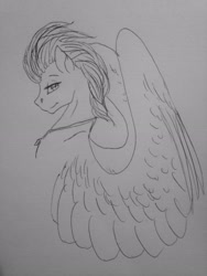 Size: 2448x3264 | Tagged: safe, artist:crazyaniknowit, fleetfoot, pegasus, pony, g4, high res, monochrome, sketch, solo, traditional art