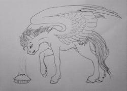 Size: 3264x2333 | Tagged: safe, artist:crazyaniknowit, soarin', pegasus, pony, g4, food, high res, male, monochrome, pie, sketch, solo, stallion, traditional art