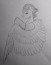 Size: 2448x3084 | Tagged: safe, artist:crazyaniknowit, spitfire, pony, g4, high res, monochrome, sketch, solo, traditional art
