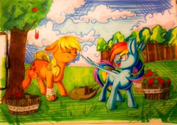 Size: 3185x2257 | Tagged: safe, artist:theorderofalisikus, applejack, rainbow dash, earth pony, pegasus, pony, g4, apple, apple tree, bandaged leg, basket, bucking, cloud, crosshatching, duo, duo female, eye clipping through hair, eyebrows, eyebrows visible through hair, female, food, grass, hat, high res, mare, marker drawing, open mouth, open smile, shading, sky, smiling, spread wings, standing, traditional art, tree, wings