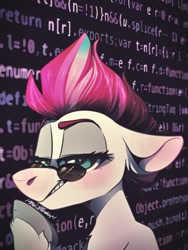 Size: 1080x1437 | Tagged: safe, artist:wacky-skiff, zipp storm, pony, g5, code, female, floppy ears, glasses, javascript, looking at you, mare, programming, solo
