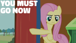 Size: 1280x720 | Tagged: safe, edit, edited screencap, editor:quoterific, screencap, fluttershy, pegasus, pony, g4, it ain't easy being breezies, season 4, bipedal, female, fluttershy's cottage, mare, solo