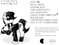 Size: 1018x785 | Tagged: safe, artist:thedansingpig, oc, oc only, earth pony, pony, 2015, clothes, ear piercing, male, piercing, raised hoof, reference sheet, scarf, solo, stallion, story included, sunglasses