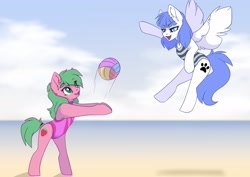 Size: 3507x2481 | Tagged: safe, artist:arctic-fox, oc, oc:pine berry, oc:snow pup, earth pony, pegasus, pony, beach, bipedal, clothes, duo, duo female, female, flying, high res, one-piece swimsuit, open mouth, sports, swimsuit, volleyball