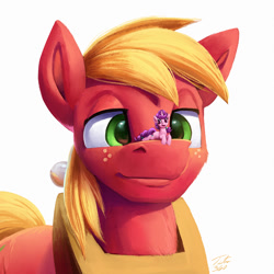 Size: 1500x1500 | Tagged: safe, artist:tsitra360, big macintosh, sugar belle, earth pony, pony, unicorn, g4, cutie mark, duo, female, freckles, male, micro, open mouth, simple background, size difference, smiling, white background