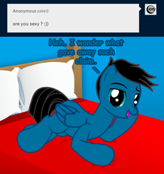 Size: 3946x4184 | Tagged: safe, artist:agkandphotomaker2000, oc, oc only, oc:pony video maker, pegasus, pony, tumblr:pony video maker's blog, anonymous, ask, bed, bedroom, bedroom eyes, dialogue, draw me like one of your french girls, looking at you, lying down, male, pillow, show accurate, simple background, solo, stallion, tumblr