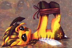 Size: 4576x3102 | Tagged: safe, artist:krissstudios, oc, oc only, bee pony, original species, bondage, female, high res, hogtied, looking at you, lying down, on back, smiling, solo