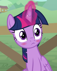 Size: 800x1000 | Tagged: safe, screencap, twilight sparkle, alicorn, pony, g4, the point of no return, blushlight sparkle, cropped, cute, female, mare, solo, twiabetes, twilight sparkle (alicorn)