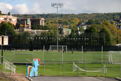 Size: 3000x2000 | Tagged: safe, artist:dashiesparkle, rainbow dash, pegasus, pony, g4, female, high res, irl, mare, pennsylvania, photo, ponies in real life, scranton, soccer field