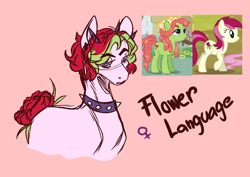 Size: 1000x709 | Tagged: safe, artist:orphicswan, oc, oc only, oc:flower language, earth pony, pony, chaoticverse, parent:roseluck, parent:tree hugger, solo