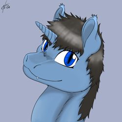 Size: 1200x1200 | Tagged: safe, artist:hadoukishi, oc, oc only, pony, unicorn, bust, digital art, horn, looking at you, male, portrait, simple background, solo, stallion