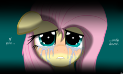 Size: 1711x1027 | Tagged: safe, artist:lennondash, fluttershy, pegasus, pony, g4, crying, floppy ears, looking at you, sad, shadow, simple background, solo, talking to viewer, teary eyes, text