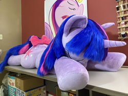 Size: 2688x2016 | Tagged: safe, artist:qtpony, princess cadance, twilight sparkle, pony, g4, bow, eyes closed, high res, irl, lying down, photo, plushie, prone, tail bow