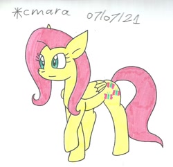 Size: 1092x1053 | Tagged: safe, artist:cmara, fluttershy, pegasus, pony, g4, female, mare, raised hoof, simple background, solo, traditional art, white background