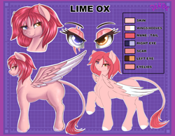 Size: 4500x3500 | Tagged: safe, artist:derpx1, oc, oc:lime ox, pegasus, pony, bust, commission, female, heterochromia, portrait, reference sheet