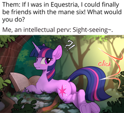 Size: 2200x2000 | Tagged: safe, artist:yakovlev-vad, edit, editor:bandwidth, twilight sparkle, pony, unicorn, g4, adorasexy, blushing, book, butt, camera flashes, cute, dock, ear fluff, exclamation point, female, forest, frog (hoof), frown, high res, interrobang, looking back, lying down, mare, meme, nature, observer, offscreen character, paparazzi, pentagram, plot, prone, question mark, reading, rear view, scenery, sexy, slender, solo, startled, surprised, text, thin, tree, twiabetes, twibutt, underhoof, unicorn twilight, voyeur, voyeurism, wide eyes, wingless, wingless edit