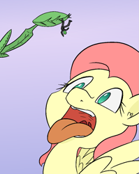 Size: 851x1070 | Tagged: safe, artist:happy harvey, fluttershy, oc, human, pegasus, pony, venus flytrap, g4, endosoma, esophagus, female, flutterpred, imminent vore, macro, male, mare, mawshot, micro, non-fatal vore, open mouth, oral invitation, phone drawing, ponies eating humans, salivating, taste buds, tongue out, uvula