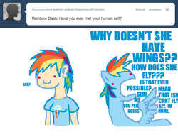 Size: 647x500 | Tagged: safe, artist:askpinkiepieandfriends, rainbow dash, human, pegasus, pony, g4, ask, derp, duo, female, human ponidox, humanized, mare, self ponidox, simple background, tumblr, white background, yelling