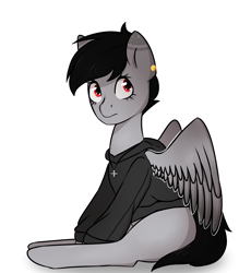 Size: 2800x3200 | Tagged: safe, artist:ranillopa, oc, oc only, pegasus, pony, clothes, commission, digital art, female, high res, hooves, mare, simple background, sitting, solo, tail, white background, wings