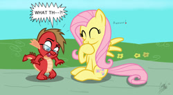 Size: 1441x795 | Tagged: safe, artist:ceehoff, fluttershy, oc, dragon, pony, g4, cute, daaaaaaaaaaaw, dragonified, duo, female, glasses, laughing, male, mare, outdoors, shyabetes, signature, species swap, surprised, wings