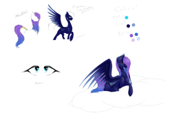 Size: 2400x1700 | Tagged: safe, artist:penrosa, oc, oc only, pegasus, pony, cloud, on a cloud, pegasus oc, reference sheet, simple background, white background, wings
