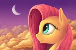 Size: 2500x1660 | Tagged: safe, artist:ivg89, fluttershy, pegasus, pony, cloud, crescent moon, cute, female, moon, profile, revised, shyabetes, solo