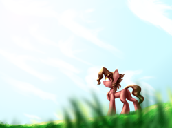 Size: 3500x2600 | Tagged: safe, artist:ktk's sky, oc, oc only, oc:prism pie, earth pony, pony, glass, high res, male, sky, solo