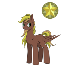 Size: 2000x2000 | Tagged: safe, artist:palibrik, oc, oc:gusty guide, earth pony, pegasus, pony, commissioner:bigonionbean, cutie mark, fusion, fusion:compass star, fusion:evening star, high res, male, mane, solo, stallion