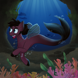 Size: 2048x2048 | Tagged: safe, artist:meowfactor, seapony (g4), bring me the horizon, bubble, colored pupils, commission, coral, digital art, dorsal fin, facial hair, fin, fin wings, fins, fish tail, flowing mane, flowing tail, gills, high res, jewelry, jordan fish, male, necklace, ocean, open mouth, open smile, ponified, scales, seaponified, seaweed, smiling, solo, species swap, swimming, tail, teeth, underwater, water, wings, ych result