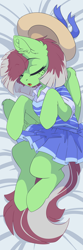 Size: 1000x3000 | Tagged: safe, artist:arctic-fox, oc, oc only, oc:watermelon success, pegasus, pony, body pillow, body pillow design, clothes, dress, explicit source, hat, sleeping, solo