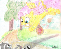 Size: 1280x1039 | Tagged: safe, artist:pianoflagerag, fluttershy, pegasus, pony, raccoon, g4, atg 2021, bag, bandage, blood, emergency, flying, forest, injured, lying down, newbie artist training grounds, on back, path, swollen, traditional art