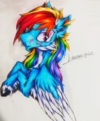 Size: 2723x3287 | Tagged: safe, artist:creature.exist, rainbow dash, pegasus, pony, g4, cloven hooves, fluffy, high res, looking at you, simple background, solo, traditional art, white background, white fur, wings