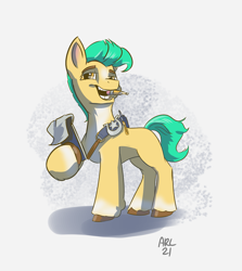 Size: 2651x2974 | Tagged: safe, artist:lytlethelemur, hitch trailblazer, earth pony, pony, g5, abstract background, biting, blaze (coat marking), coat markings, facial markings, high res, looking at you, male, pale belly, paper, pencil, sash, socks (coat markings), stallion, unshorn fetlocks