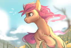 Size: 4000x2712 | Tagged: dead source, safe, artist:nettlemoth, sunny starscout, earth pony, pony, g5, cloud, female, grass, high res, mare, sky, solo, unshorn fetlocks, wip