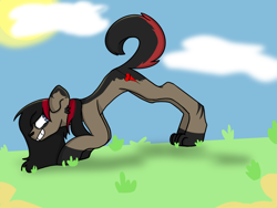 Size: 2048x1536 | Tagged: safe, artist:revenge.cats, dog, dog pony, earth pony, hybrid, pony, bent over, bert mccracken, cloud, cloudy, emo, grass, hooves, looking back, paws, ponified, smiling, spots, sun, the used