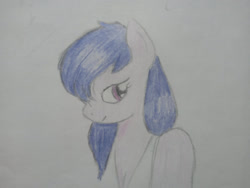 Size: 1280x960 | Tagged: safe, artist:angelovalouva, oc, oc only, pony, solo, traditional art